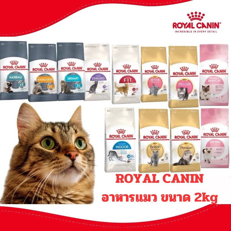 [ROYAL CANIN 2kg] Royal Canin รอยัล คานิน อาหารแมว ชนิดเม็ด ขนาด 2kg