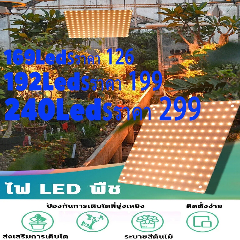 ไฟปลูกต้นกันชา ไฟปลูกต้นไม้ หลอดไฟปลูกพืช ไฟเลี้ยงต้นไม้ ไฟปลูกพืช LED grow light
