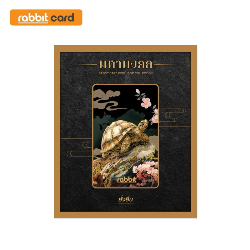 รูปภาพ 2