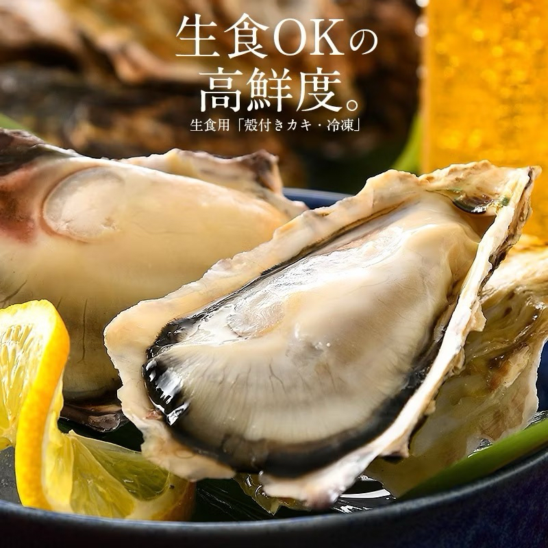 หอยนางรมญี่ปุ่น SIZE 80-90G 10PCS/PACK JAPANESE HARIMANADA OYSTER