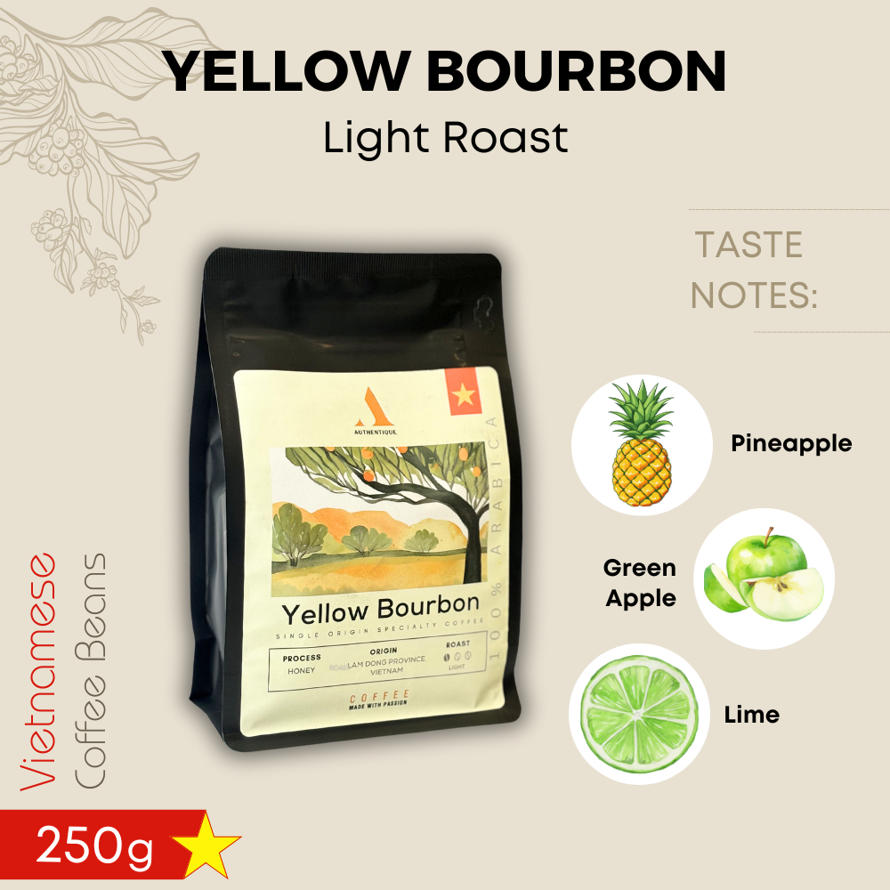 Authentique Specilaity Yellow Bourbon Arabica 100% (Light Roast) (Vietnam Coffee Beans) 250g กาแฟคั่วอ่อน