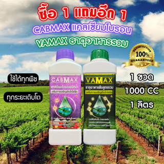 ซื้อ 1 แถม 1 CABMAX แคลเซียมและโบรอนเข้มข้น + VAMAX ธาตุอาหา…