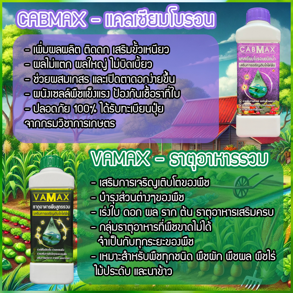 ซื้อ 1 แถม 1 CABMAX แคลเซียมและโบรอนเข้มข้น + VAMAX ธาตุอาหารรวมเข้มข้น (C1+V1) - รูปที่ 2