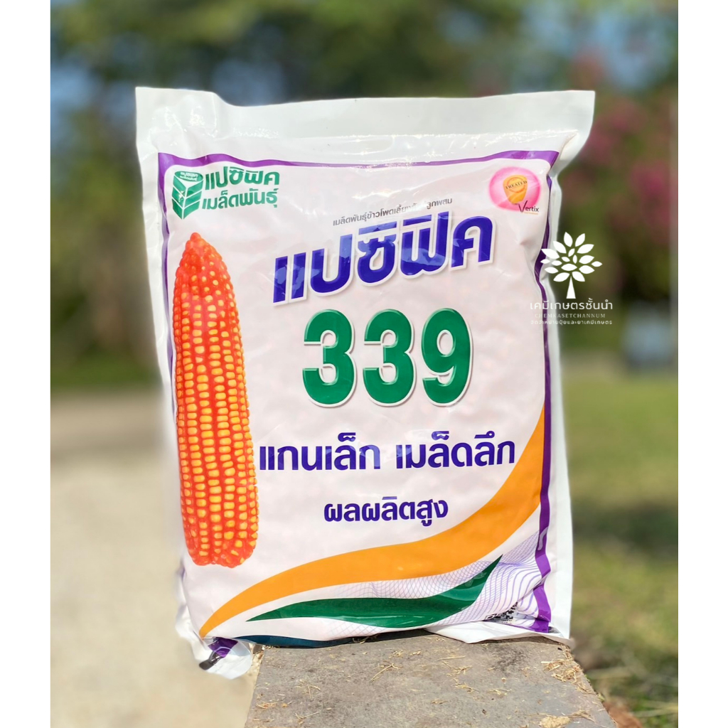 เมล็ดพันธุ์ข้าวโพดแปซิฟิค 339 ขนาดบรรจุ 5 กิโลกรัม  4 หุน แกนเล็ก เมล็ดลึก ผลผลิตสูง