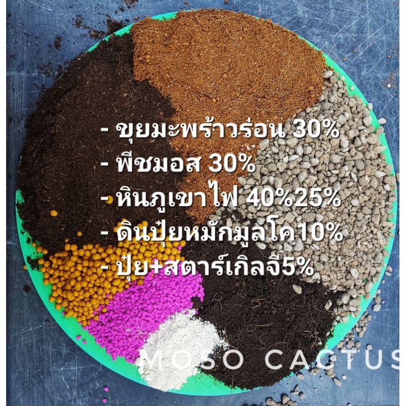 ดินปลูกแคคตัส สูตร ดินนุ่ม บำรุงราก, ต้น, ฟื้นตัว ปลูกกระบองเพชรได้หลายสายพันธุ์ ดินสมบูรณ์