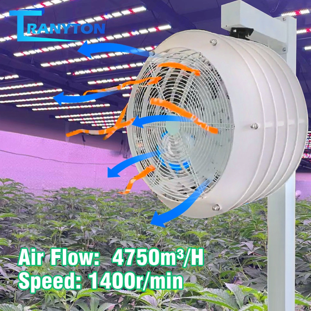 พัดลมอุตสาหกรรม for Green house ขนาด 20นิ้ว สี่เหลี่ยม ระบบควบคุมความเร็วสามระดับ พัดลมใหญ่ Super Fan
