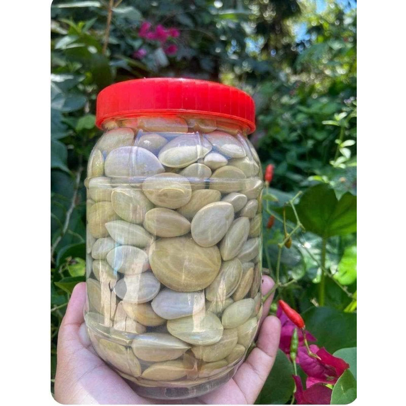 สะตอดอง 1000กรัม เม็ดแก่ กรอบ ทำใหม่ น้ำใสเก็บทานได้นาน