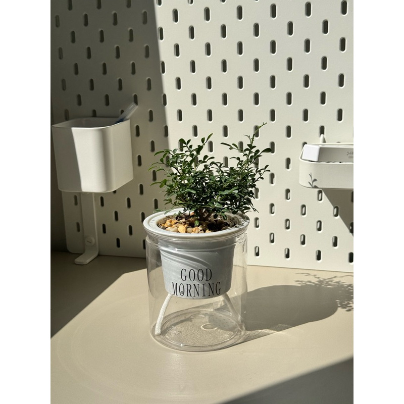 มุมมอง 5