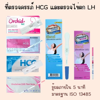 👨‍👩‍👦 ที่ตรวจตั้งครรภ์ ชุดตรวจตั้งครรภ์ HCG ที่ตรวจครรภ์ ตรวจท้อง และ ที่ตรวจไข่ตก LH
