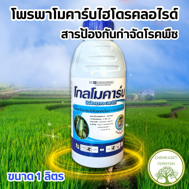 🌾โกลโมคาร์บ🌾 สาร โพรพาโมคาร์ป ป้องกันกำจัดโรคพืชทั้งทางใบและทางดิน ขนาด 1 ลิตร❌
