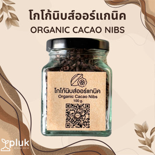โกโก้นิบส์ คาเคานิบส์ organic cacao nibs เมล็ดโกโก้คั่ว