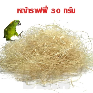 ที่นอนนก หญ้าราฟฟี่ หญ้ารังนก หญ้ากระรอก หญ้านก บ้านนก บ้านนกหงษ์หยก