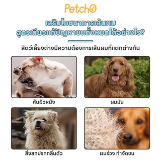 Petcho แชมพูสุนัข สารสกัดจากพืช อ่อนโยนต่อผิว ทำความสะอาดและดูแลเส้นผม Pet Shampoo