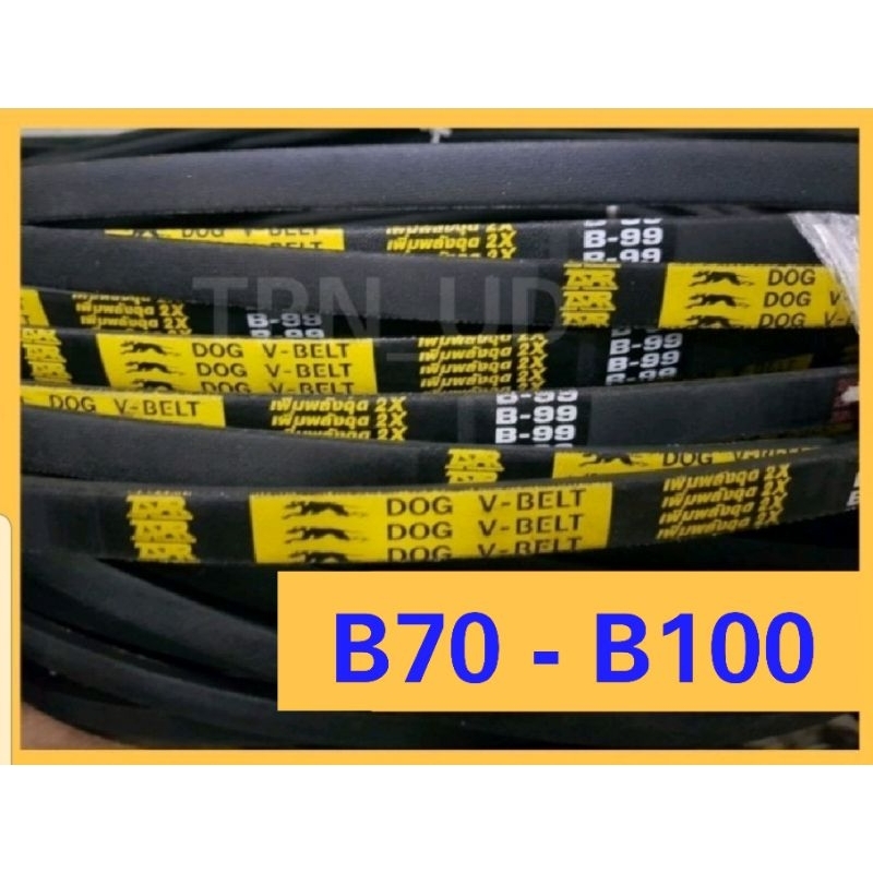สายพานร่อง B70 ถึง B100 สายพานรถไถนา สายพานเกษตร สายพานเครื่องสูบน้ำ ตราหมา / ตราดอกจิก