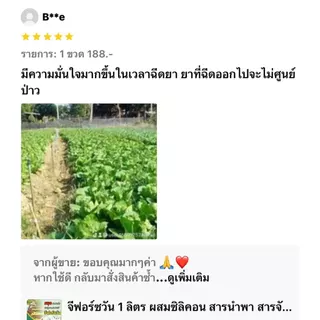 เวก้าแมกนีเซียม ฟื้นฟูต้น เร่งการเจริญเติบโต เร่งต้น เร่งใบ เร่งแตกแขนง แตกกอ ใบเขียวเข้ม 1ลิตร