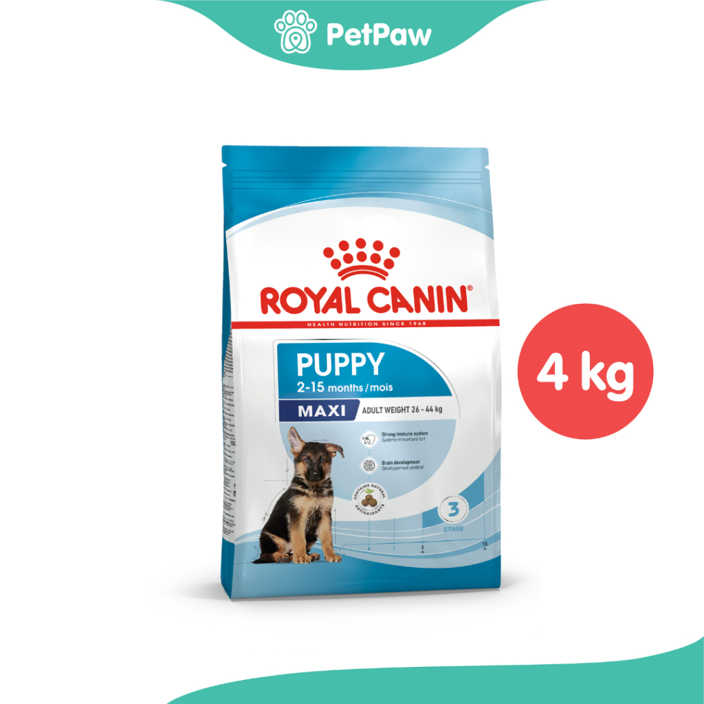 Royal Canin MAXI PUPPY ลูกสุนัขพันธุ์ใหญ่ 4 kg