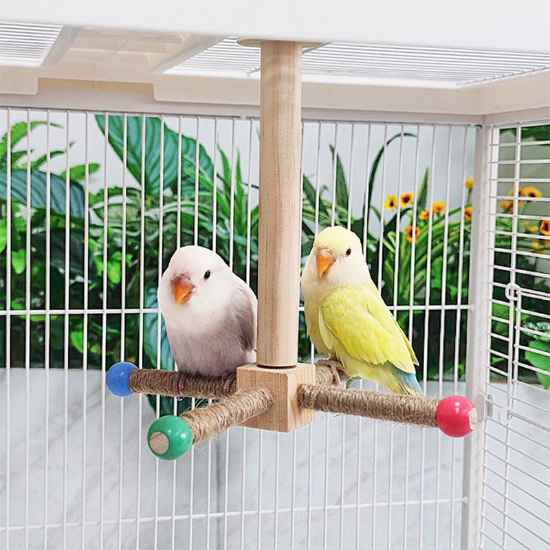 ของเล่นนกแก้ว  คอนยืน วงล้อหมุนได้ ฝึกนก แก้เบื่อ เสาไม้คอนติดกรงขาตั้งหมุนได้ ลูกกลมๆสีสุ่ม