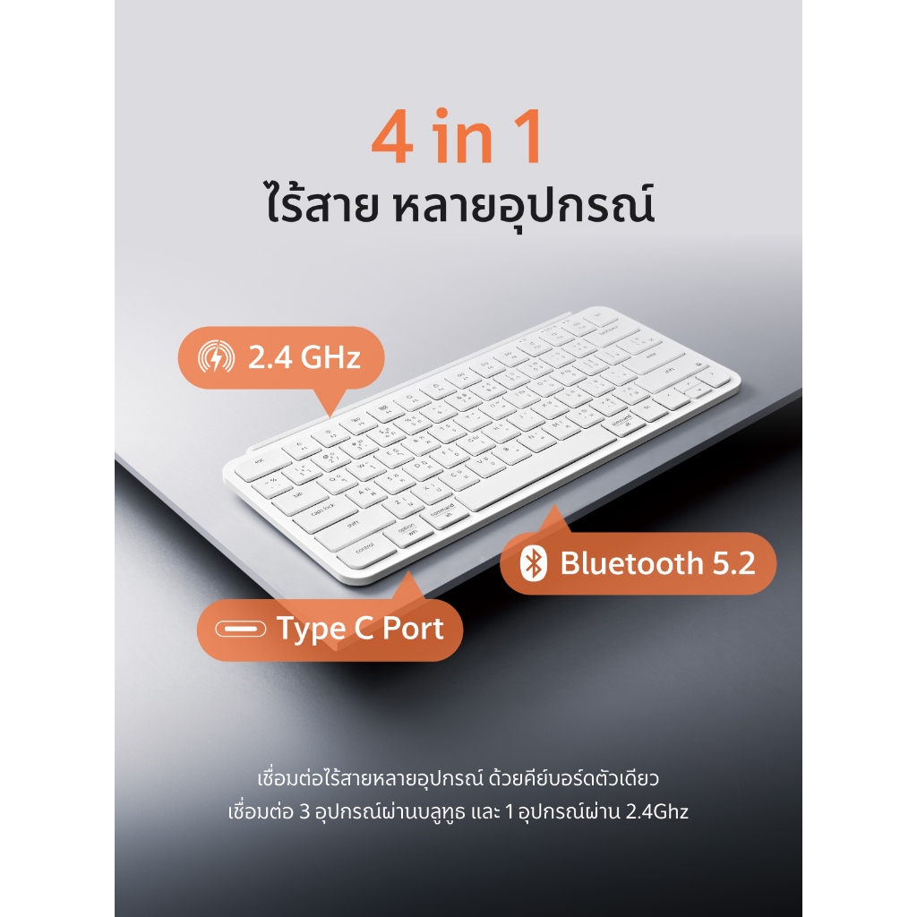 รูปภาพ 3