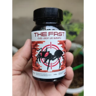 ของแท้100% The fast ผงกำจัดมด ปลวก แมลงสาบ ตายยกรัง เห็นผลทันที ขนาด100g