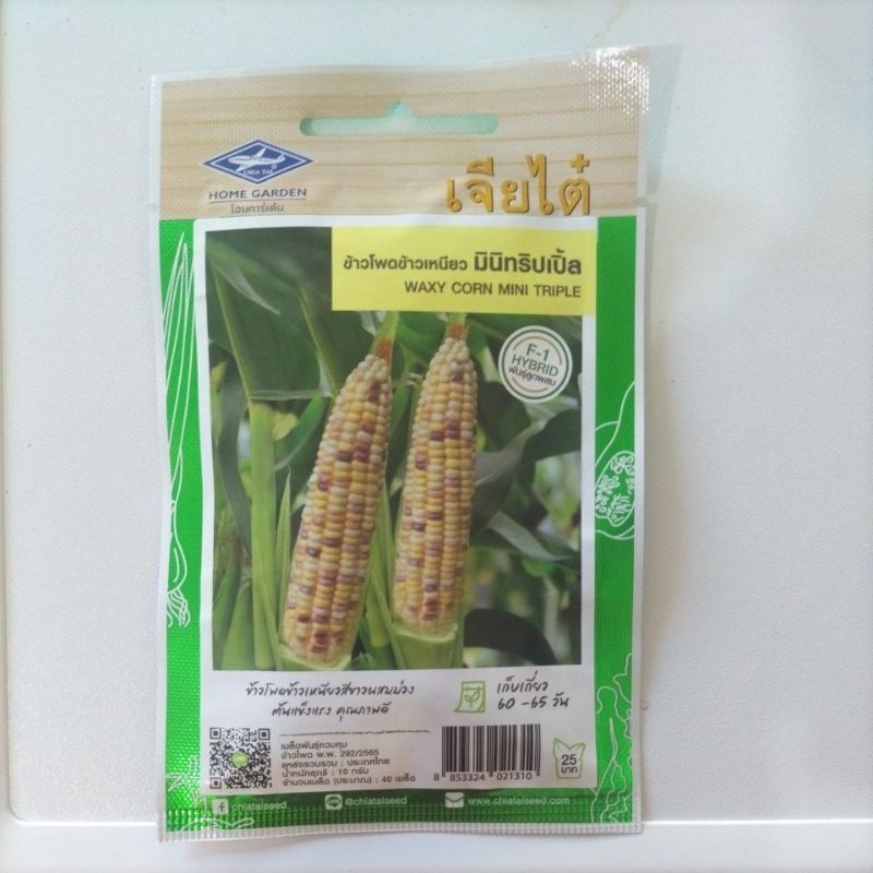 5 ฟรี 1 คละได้ทั้งร้าน เมล็ดพันธุ์ข้าวโพดข้าวเหนียวมินิทริปเปิ้ล f1 เจียไต๋ อัตราความงอกสูง