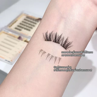 ซีรีส์ 12 ราศี ขนตาปลอม ขนตาบน ขนตาล่าง ไม่ต้องใช้กาว มีกาวในตัว ขยายตา ติดทน 30/36 ช่อ/กล่อง