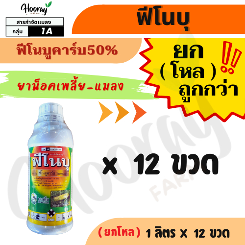 🔥 ยกโหล 🔥  ฟีโนบุ x 12 ขวด(ยาน็อค)( ฟีโนบูคาร์บ50% ) กำจัดเพลี้ยกระโดด เพลี้ย เพลี้ยแป้ง แมลงหวี่