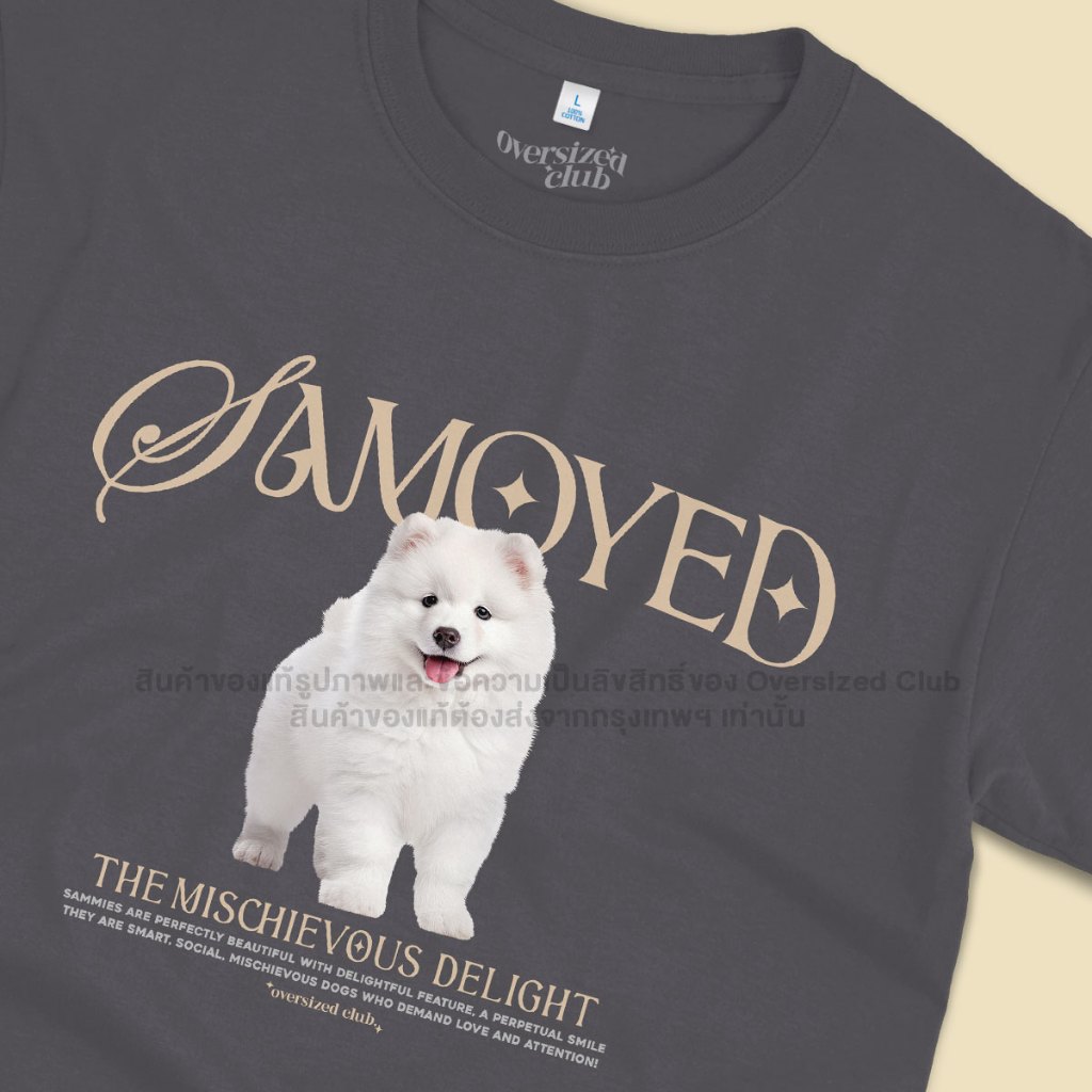 เสื้อยืดสกรีนลายหมา Samoyed ซามอยด์ [Classic Cotton 100% by Oversized Club]