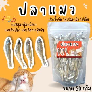 ขนมแมว รวมขนมแมวยอดฮิต กินง่าย อร่อยมาก