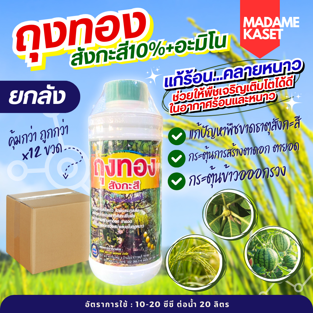 ยกลัง x12 ขวด**จำกัดออเดอร์ละ1ลัง** | ถุงทอง สังกะสี10%+อะมิโน แก้ร้อนคลายหนาวให้พืช เร่งการเติบโต เพิ่มรสชาติ สี สร้างต