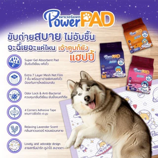 แผ่นรองซับพรีเมี่ยม Power Pad ไซส์ 60x90 ซม. และ 45x60 ซม. หนา 7 ชั้น / มีกาว Premium Training Pad