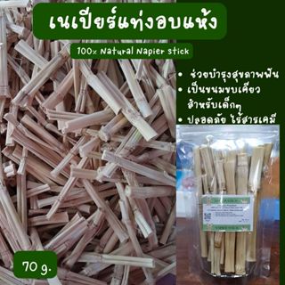 เนเปียร์สติ๊ค เนเปียร์แท่งอบแห้ง สำหรับสุตว์ฟันแทะ อาหารทานเ…