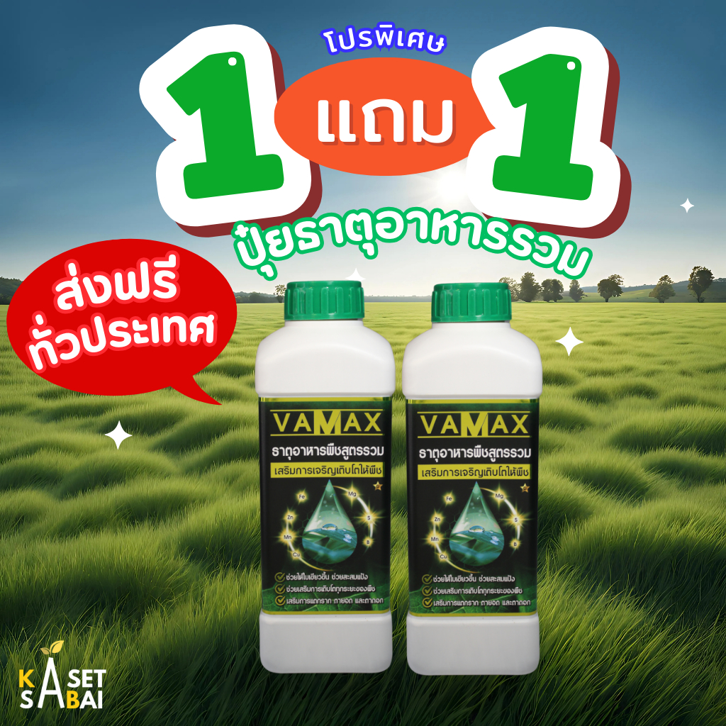 VAMAX ปุ๋ยธาตุอาหารรวม เสริมการเจริญเติบโต  จัดส่งฟรี