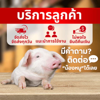 พี เน็ท มิกซ์ วิตามินแร่ธาตุสำหรับไก่เนื้อ ไก่ไข่ ไก่พันธุ์ เป็ด นกกระทา สุกร ขนาดบรรจุ 1 กิโลกรัม
