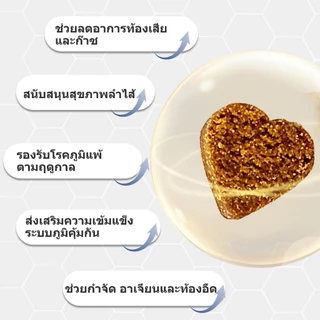 Popoo แพ็คสุดคุ้ม 2สูตร โปรไบโอติกสำหรับสุนัข และ Aller-Immune for Dogs ขนมสุนัข ช่วยระบบทางเดินอาหารและเสริมภูมิคุ้มกัน