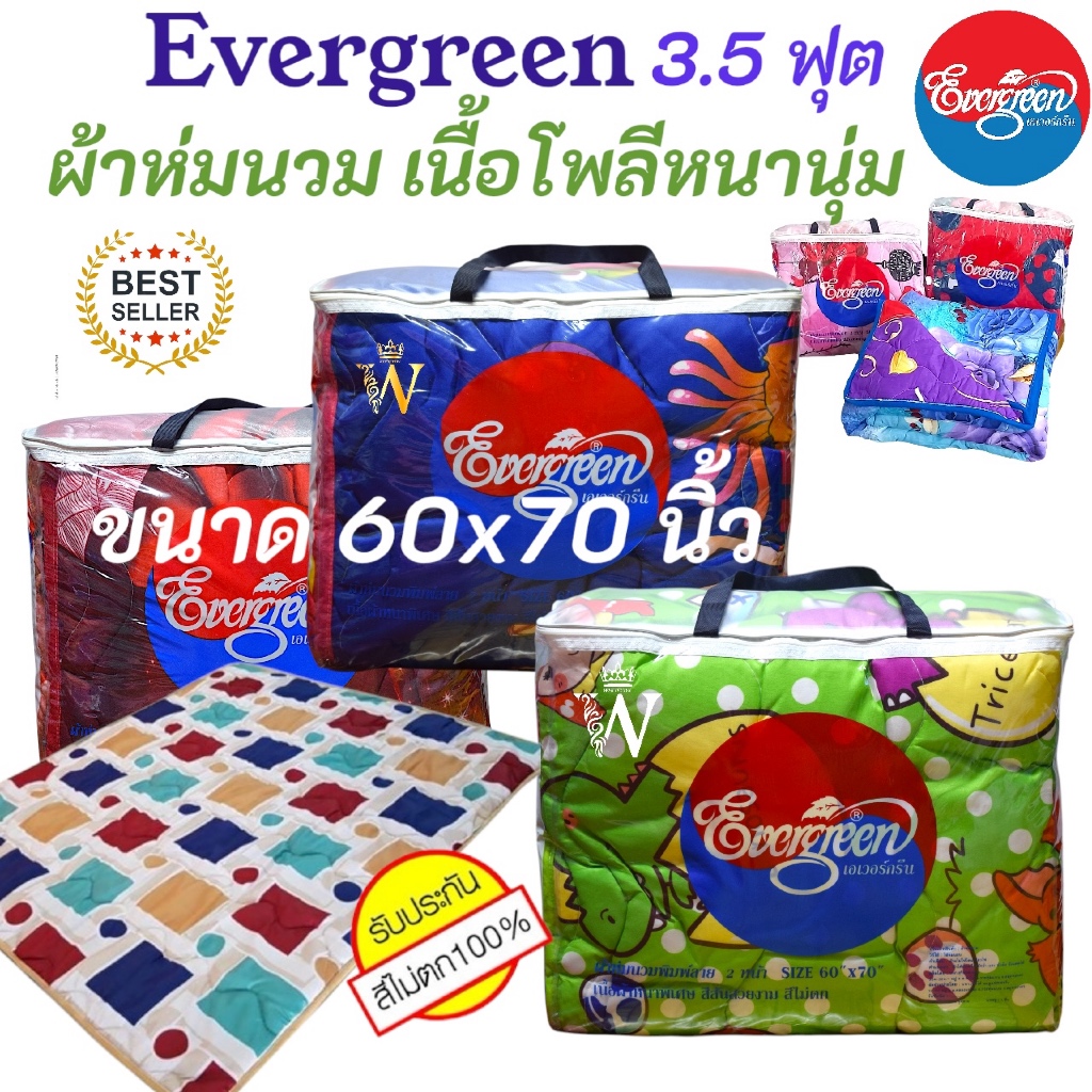 SALE !! ของแท้ %ผ้าห่มนวม Evergreen 60x70 นิ้ว (3.5 ฟุต) รุ่นห่มคนเดียว ผ้าโพลีคุณภาพ สัมผัสใยไหม ห่มอุ่น มีบริการ COD