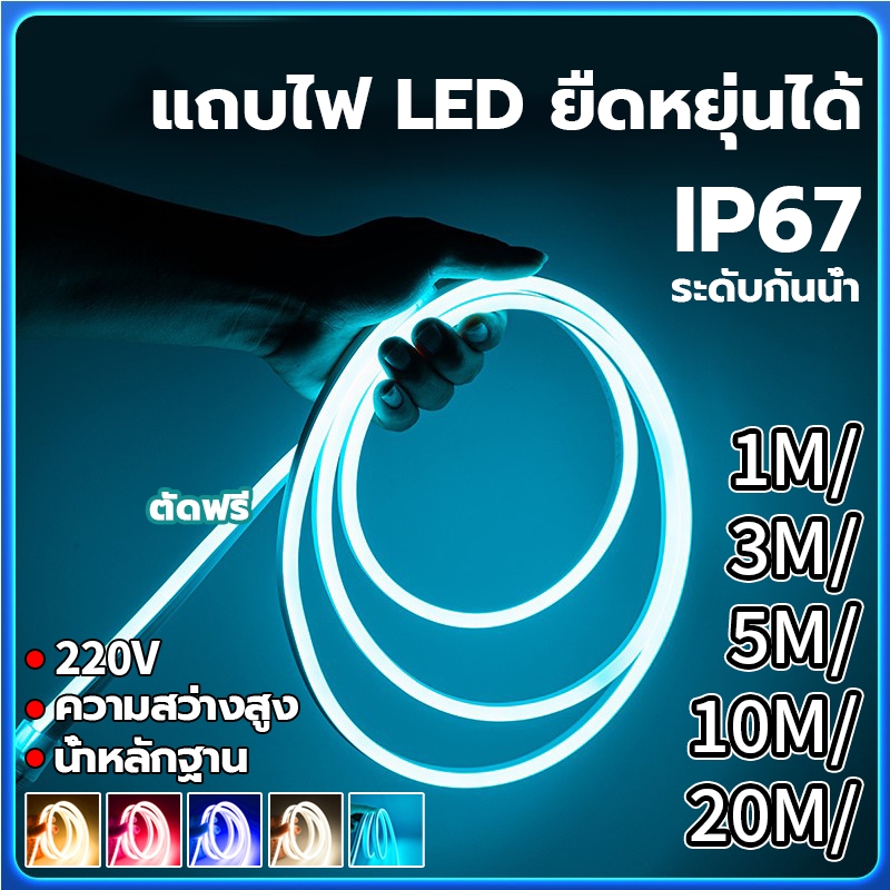 1/3/5/10M แถบไฟนีออน LED ไฟแถบนีออน 220V เหมาะแก่การตกแต่งบ้าน กันน้ํา พร้อมปลั๊ก