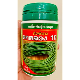 เมล็ดพันธุ์ถั่วฝักยาวลูกผสม(F1) ลำน้ำชี2 เขียวดกเกษตร ลำน้ำชีพลัส และ ดกคลอง10 ขนาด100กรัม/ซอง และ500กรัม/ซอง