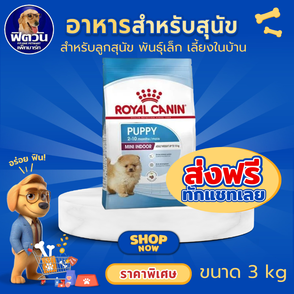 ROYAL CANIN PUPPY MINI INDOOR อาหารเม็ด สำหรับลูกสุนัขพันธุ์เล็ก สูตรเลี้ยงในบ้าน ขนาด 3 กิโลกรัม{อาหารสุนัขเม็ด}