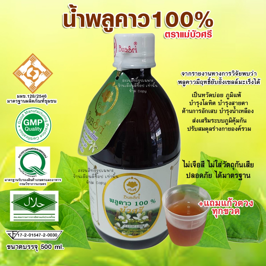 น้ำพลูคาวเข้มข้น100% น้ำสมุนไพรพลูคาวตอง แม่บัวศรี /ขวดแก้ว ขนาดบรรจุ 500ml.