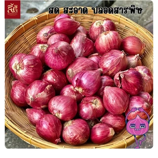หอมแดงไทย คัดพิเศษ ขนาด 1kg 500g