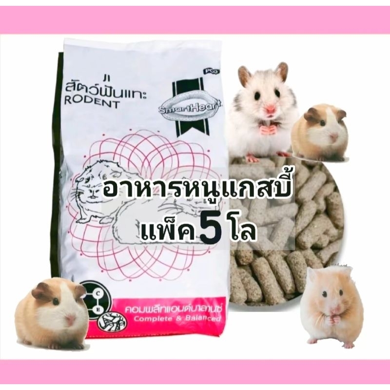 (แบบตัก)Smartheaetสัตว์ฟันแทะ5โล หนูแกสบี้ หนูขวัญ หนูตะเภา