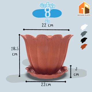 Go Dung Plastic กระถางต้นไม้ บิวตี้ พร้อมจานรอง 6" 8" 10" 12" 15"