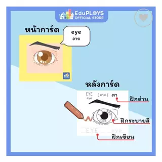 ครอสเวิร์ด สเปลโล Crossword Spello เกมทายศัพท์และฝึกสะกดคำ by EduPloys (แฟลชการ์ด flash card เกมทายศัพท์ )