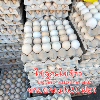 ราคายกแผง30ลูกสุกแล้ว ไข่ลูก ไข่ไก่ลูกอ่อน ไข่ร้างรัง ไข่ฮ้างฮัง คล้ายๆไข่ข้าว ไข่เป็ดเวียดนาม ไข่ตัวนึ่งสุก