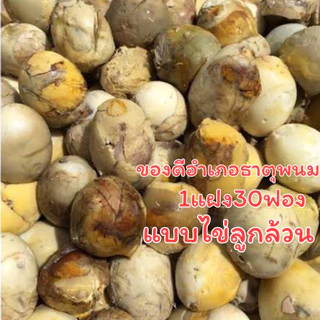 ราคายกแผง30ลูกสุกแล้ว ไข่ลูก ไข่ไก่ลูกอ่อน ไข่ร้างรัง ไข่ฮ้างฮัง คล้ายๆไข่ข้าว ไข่เป็ดเวียดนาม ไข่ตัวนึ่งสุก