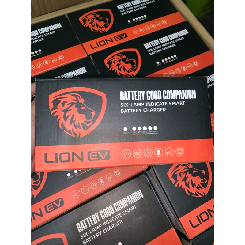 กล่องชาร์จจักรยานไฟฟ้า 48V12Ah Lion Ev
