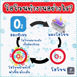 รับประกัน 1 ปี มีศูนย์ไทย เครื่องอบโอโซน รุ่น Earth 3 in 1 ดับกลิ่น ฆ่าเชื้อโรค เชื้อรา ขนาด 80 กรัม