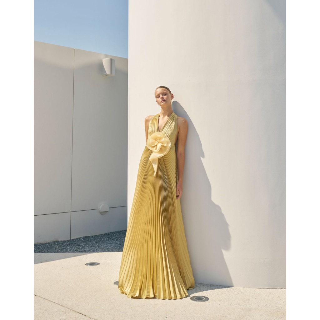NICHP : Scarlette V neck pleat dress
