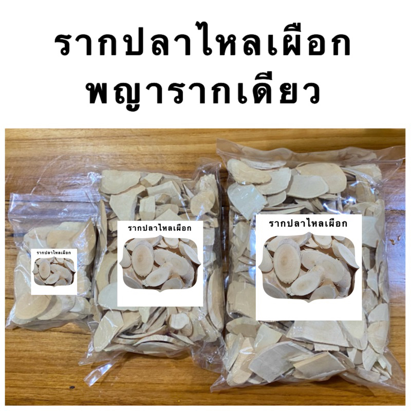 รากปลาไหลเผือก พญารากเดียว รากปลาไหลเผือกแท้100% เกรดสวยล่างทำความสะอาดก่อนไปหัน