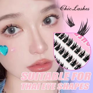 CHICLASHESนตาปลอม ขนมิงค์ กํามะหยี่ ง่ายต่อการเริ่มต้น สไตล์…